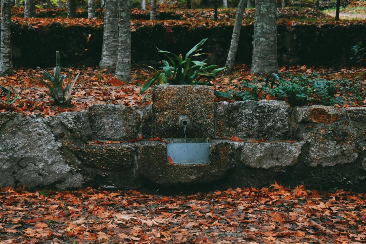São Pedro do Sul Quinta Das Fontes - Alojamento Rustico Local E Turismo Rural מראה חיצוני תמונה