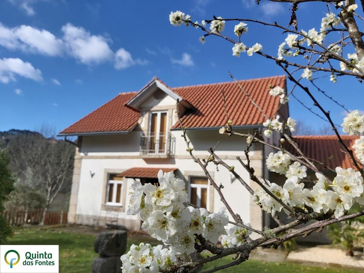 São Pedro do Sul Quinta Das Fontes - Alojamento Rustico Local E Turismo Rural מראה חיצוני תמונה
