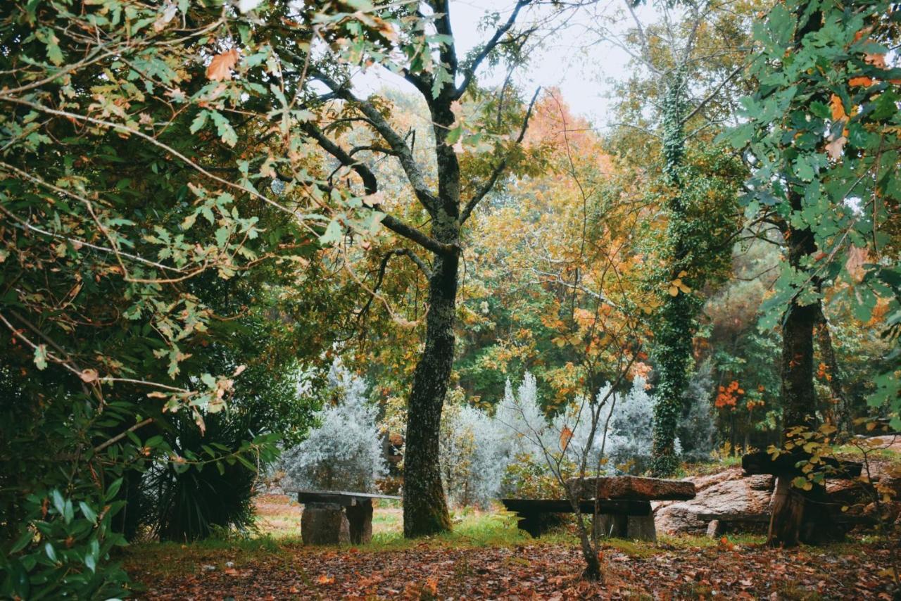 São Pedro do Sul Quinta Das Fontes - Alojamento Rustico Local E Turismo Rural מראה חיצוני תמונה