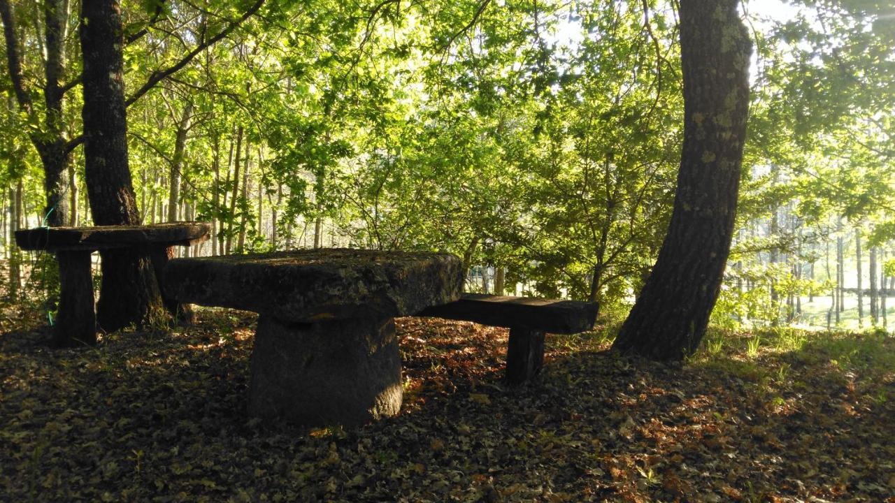 São Pedro do Sul Quinta Das Fontes - Alojamento Rustico Local E Turismo Rural מראה חיצוני תמונה