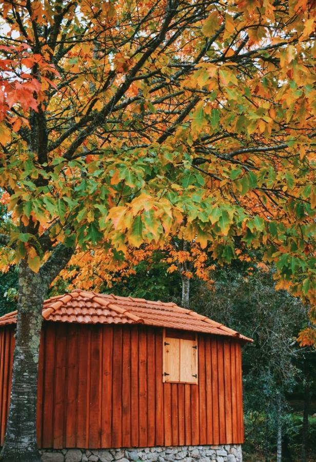 São Pedro do Sul Quinta Das Fontes - Alojamento Rustico Local E Turismo Rural מראה חיצוני תמונה