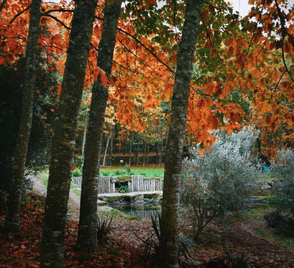 São Pedro do Sul Quinta Das Fontes - Alojamento Rustico Local E Turismo Rural מראה חיצוני תמונה