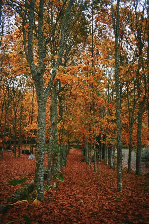 São Pedro do Sul Quinta Das Fontes - Alojamento Rustico Local E Turismo Rural מראה חיצוני תמונה