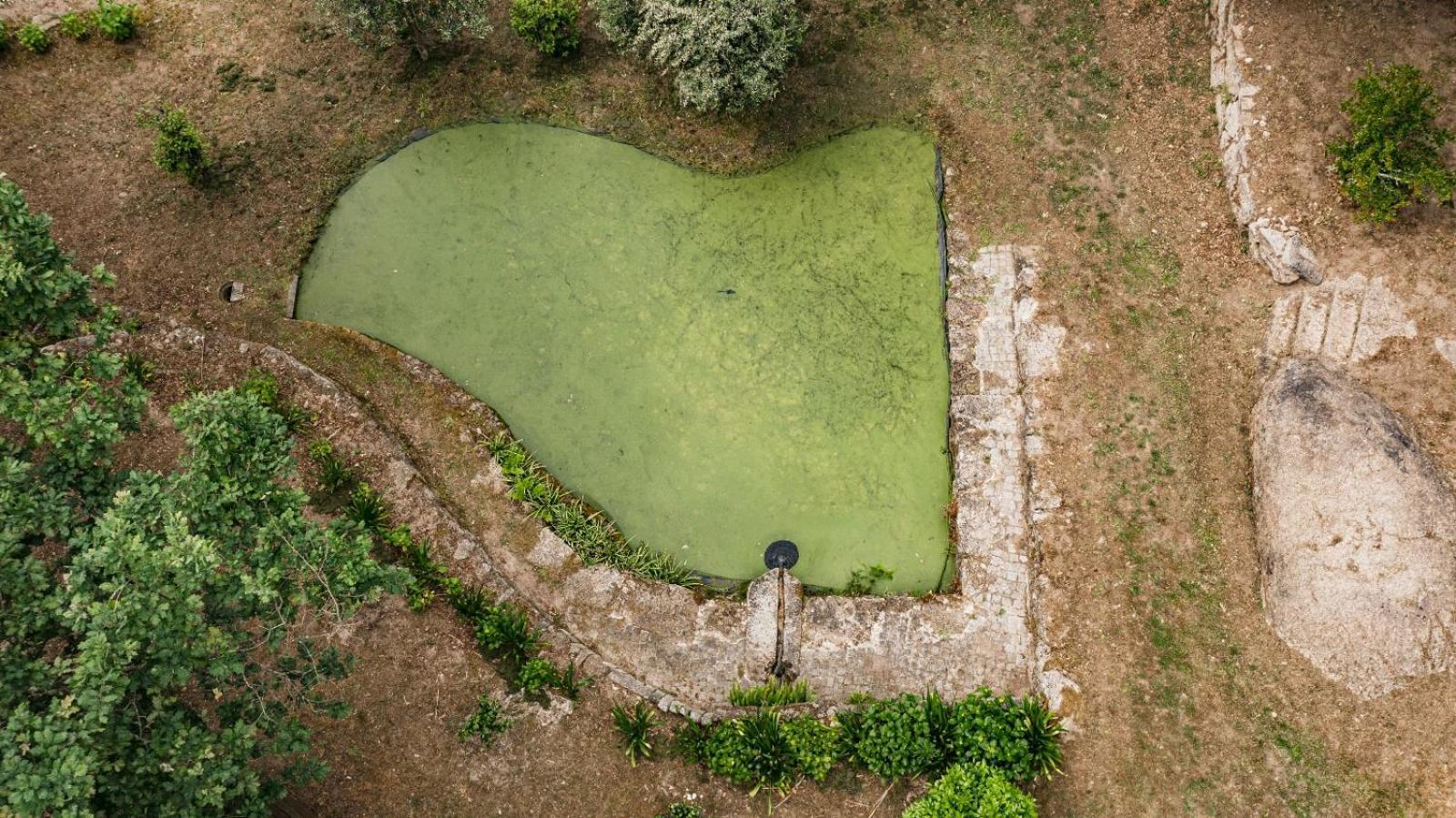 São Pedro do Sul Quinta Das Fontes - Alojamento Rustico Local E Turismo Rural מראה חיצוני תמונה
