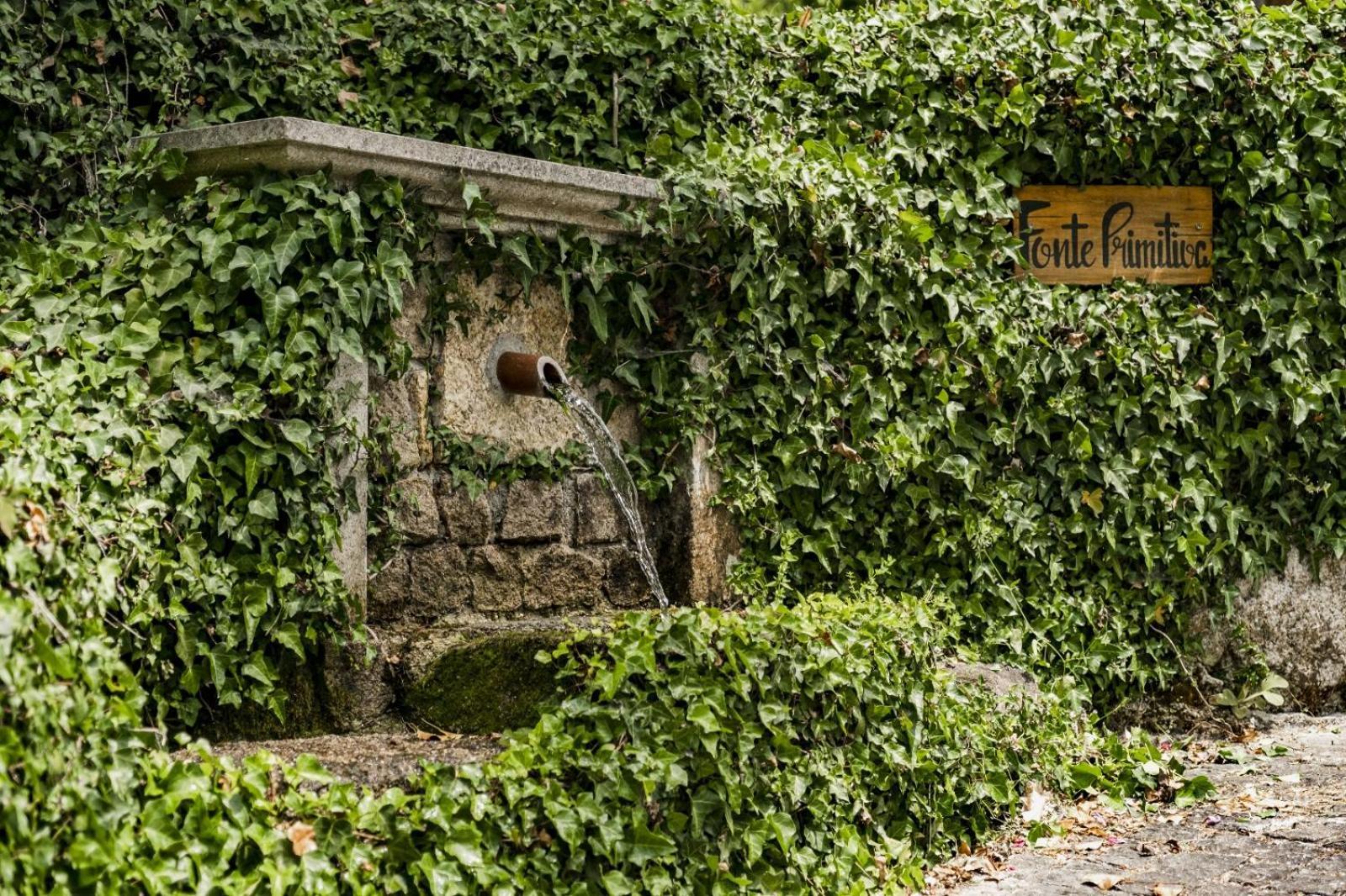 São Pedro do Sul Quinta Das Fontes - Alojamento Rustico Local E Turismo Rural מראה חיצוני תמונה
