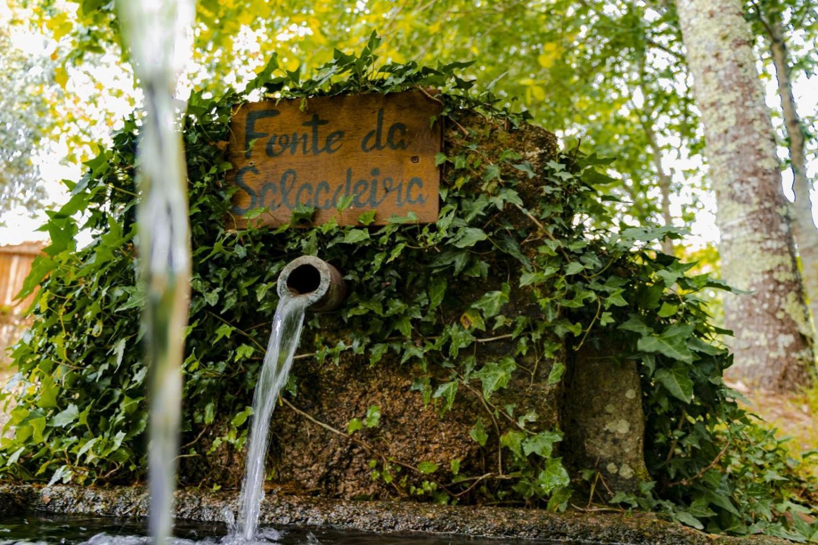 São Pedro do Sul Quinta Das Fontes - Alojamento Rustico Local E Turismo Rural מראה חיצוני תמונה