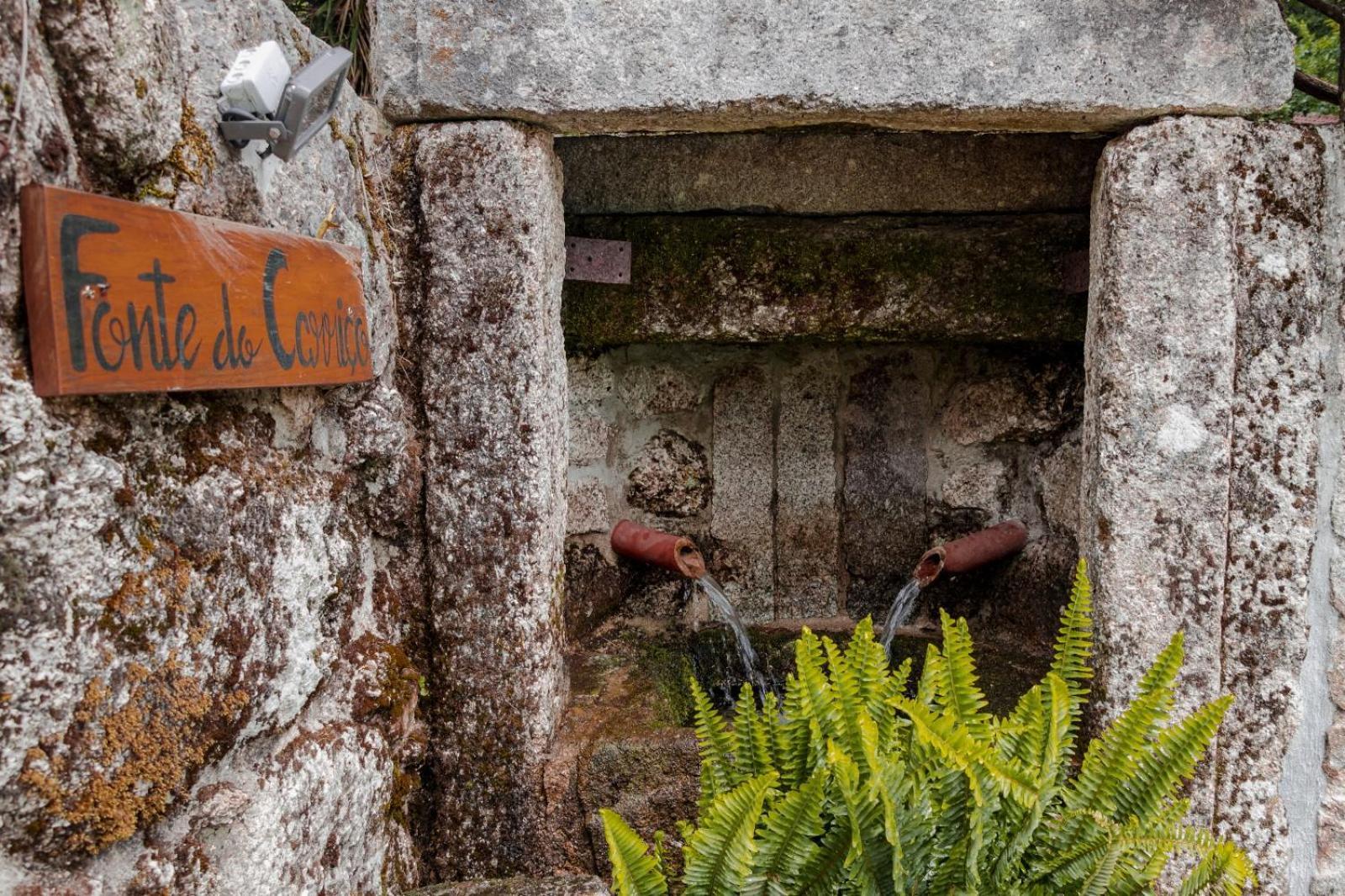 São Pedro do Sul Quinta Das Fontes - Alojamento Rustico Local E Turismo Rural מראה חיצוני תמונה