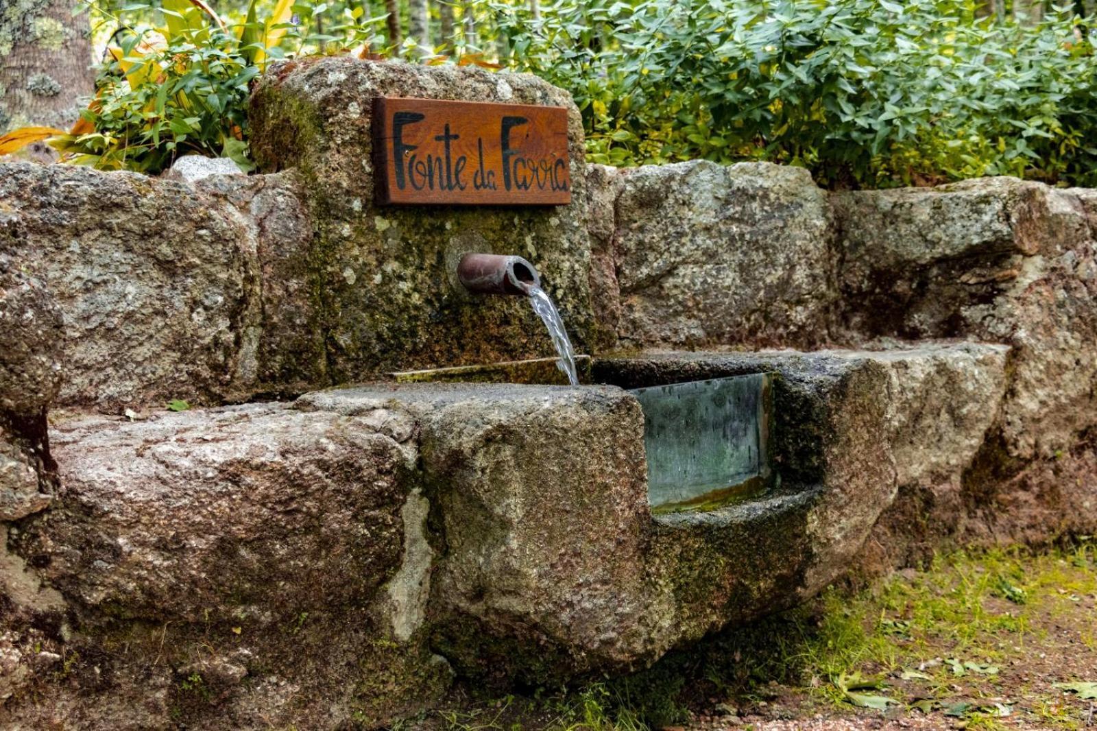 São Pedro do Sul Quinta Das Fontes - Alojamento Rustico Local E Turismo Rural מראה חיצוני תמונה